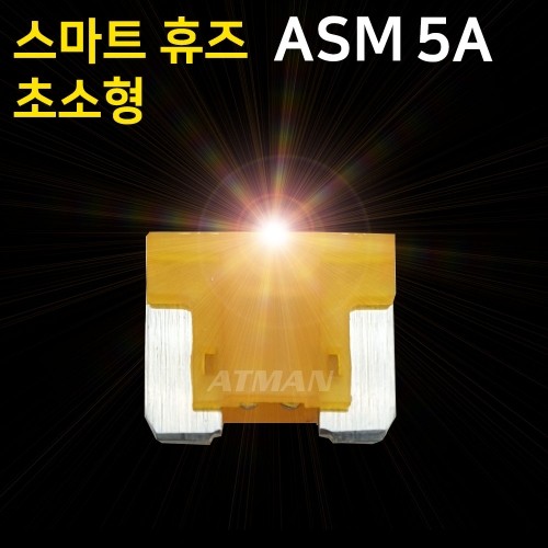 ATMAN 아트만 LED 스마트 휴즈 ASM 초소형 퓨즈 5A (특허제품)