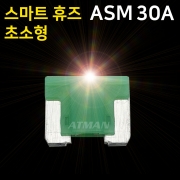 ATMAN 아트만 LED 스마트 휴즈 ASM 초소형 퓨즈 30A (특허제품)