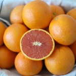 [한정특가]못생겨도 맛있는_못난이 카라카라 오렌지(1박스_17kg)[순차출고]